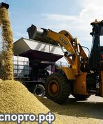 Экспорт в Китай из России. Какие продукты покупают китайцы?