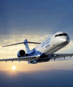 Профессиональное сопровождение бизнеса в ОАЭ