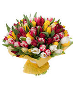 Инструкция: как продавать тюльпаны с машины на 8 марта?