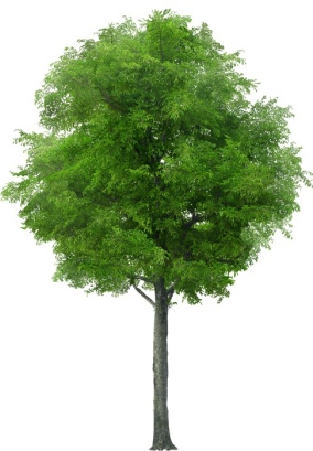 Вскапывание огорода