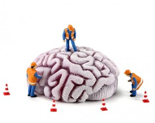 Нейромаркетинг