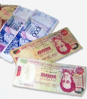 Венесуэльский боливар