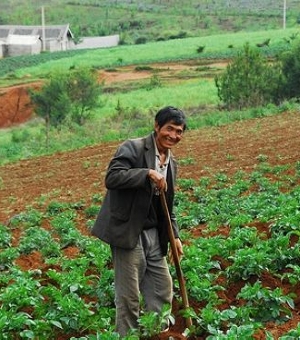 Китаец на земле