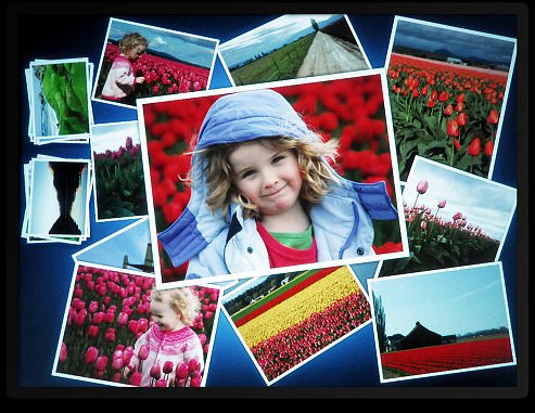 фотографии