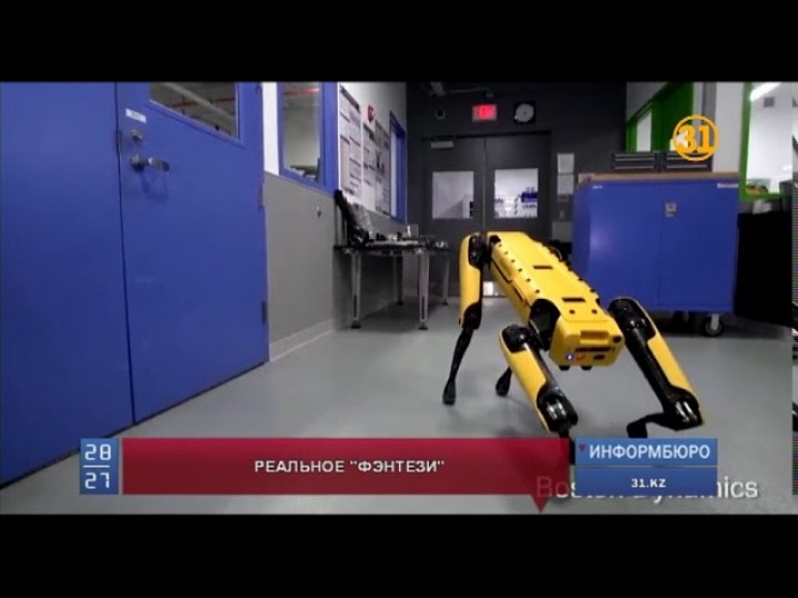 Поведение роботов-собак испугало пользователей сети