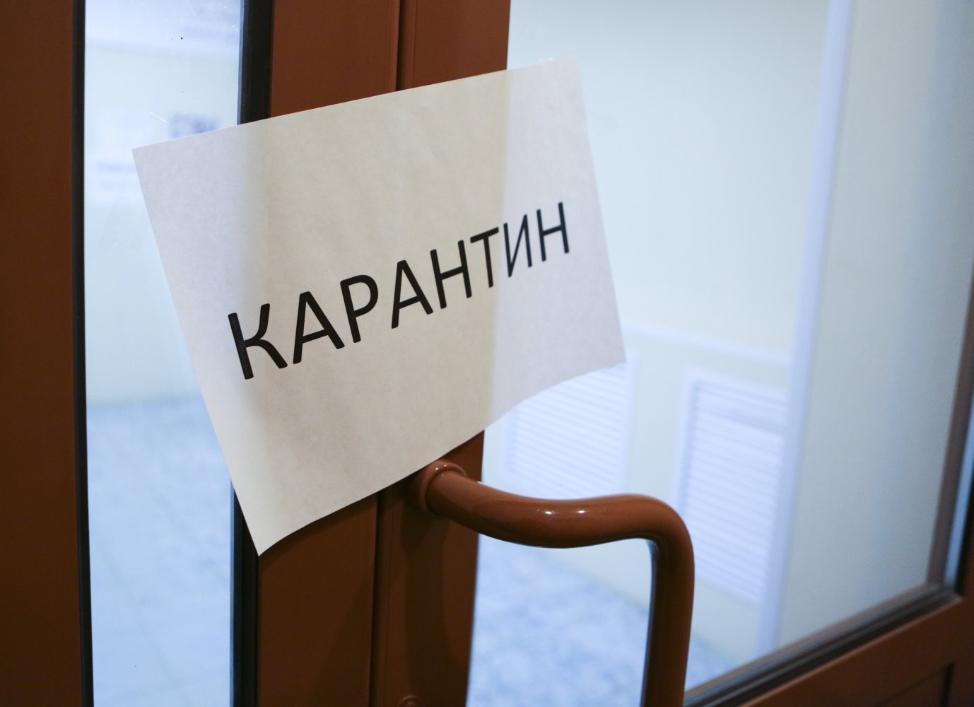 Как бизнес будет выживать после карантина?