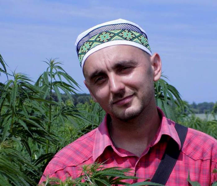 На конопле можно легально зарабатывать до 100 тысяч долларов с одного гектара