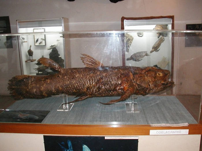 Остается ли &laquo;печать&raquo; мужчины навсегда в чреве женщины? Проверяем теорию телегонии