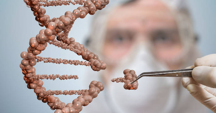 Остается ли &laquo;печать&raquo; мужчины навсегда в чреве женщины? Проверяем теорию телегонии