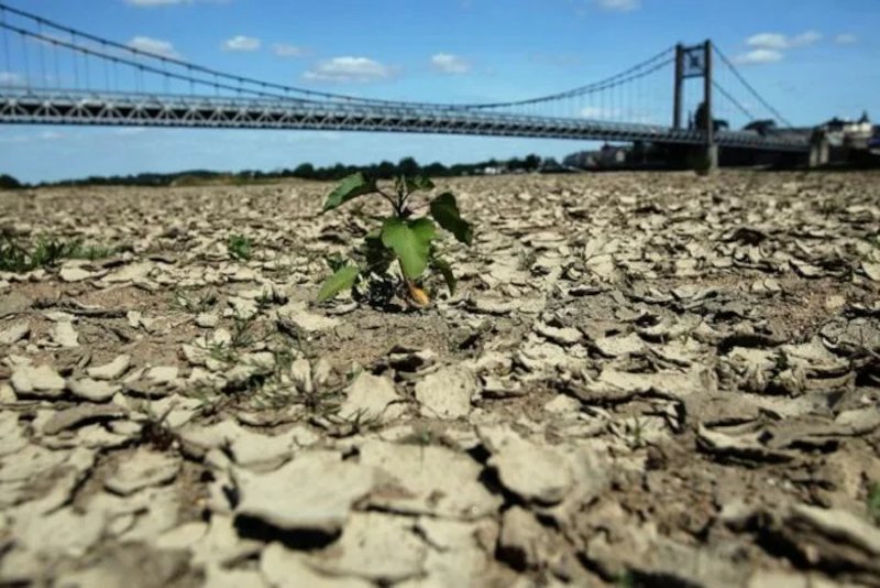 Засуха в Европе может стать самой сильной за 500 лет